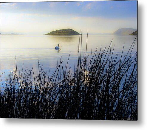 Landscape Metal Print featuring the photograph Pelican on Klamath Lake by Christopher Johnson