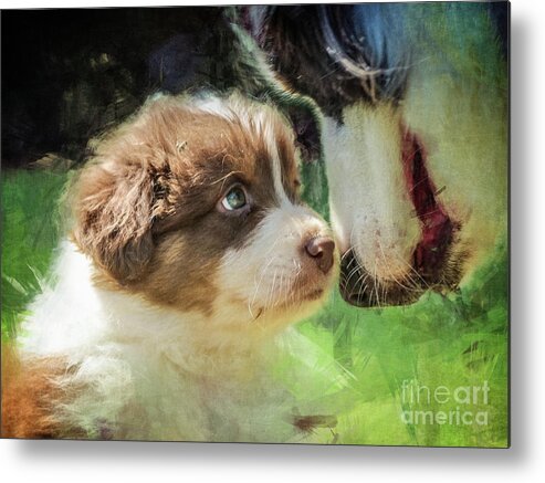 Dog Metal Print featuring the digital art Puppy Dog by Phil Perkins