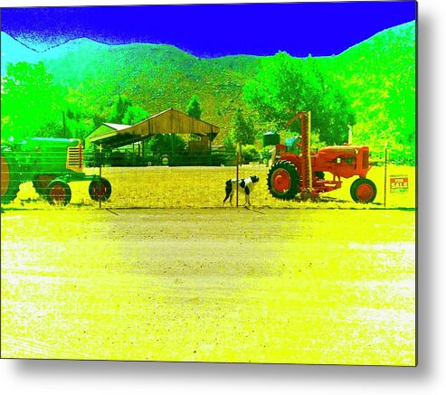 Farm Metal Print featuring the photograph Red Tractor for Sale by Debra Grace Addison