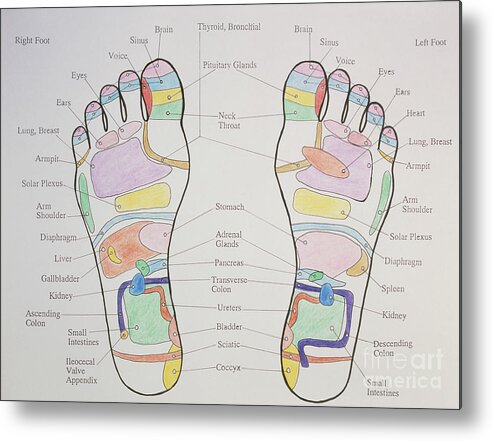 Reflexology Chart Showing Pressure Points On Feet Metal Print ...