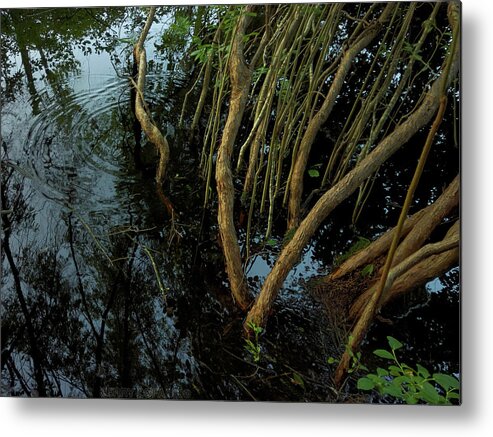 Water Metal Print featuring the photograph Rhythm by Jerry LoFaro