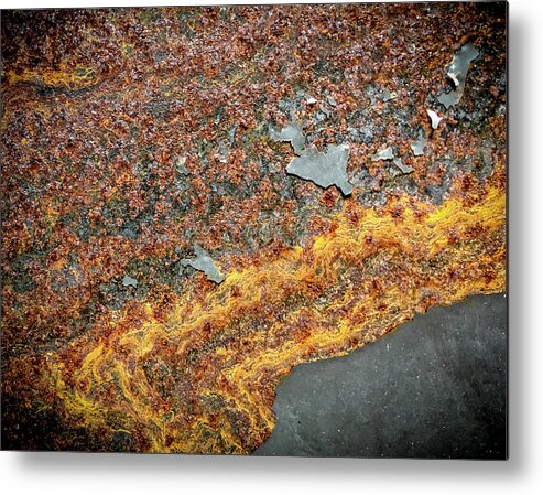 Jean Noren Metal Print featuring the photograph River of Rust by Jean Noren