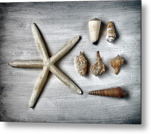 Animal Shell Metal Print featuring the photograph Shells And Starfish by Santiago Nuevo Peña