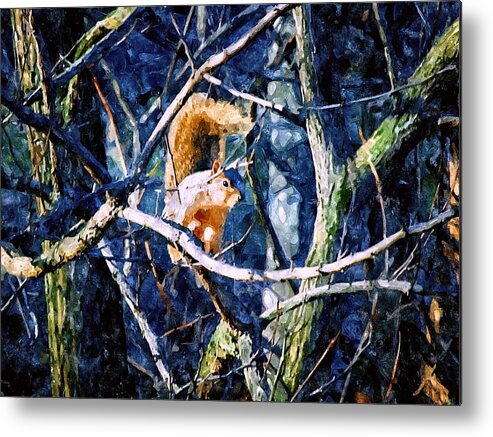 Squirrel Metal Print featuring the mixed media Squirrel in the Trees by Christopher Reed