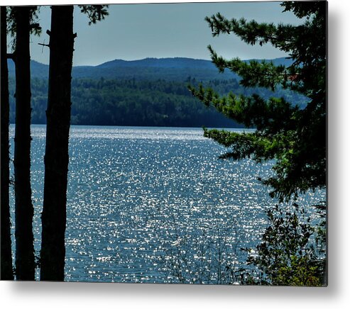 Lake Metal Print featuring the photograph Sun Sparkles on the Lake by Sandra J's