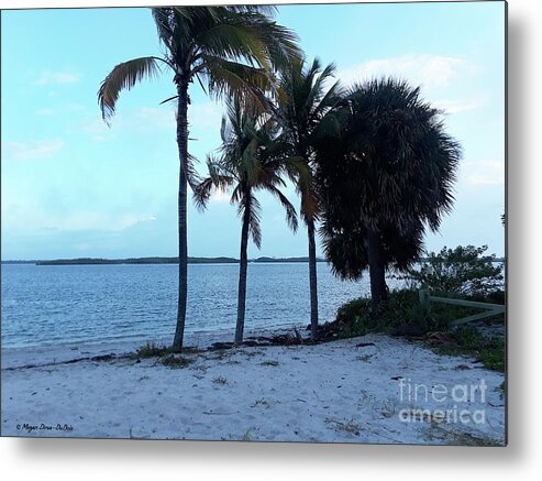 Barrier Island Metal Print featuring the photograph Sunday Morning by Megan Dirsa-DuBois