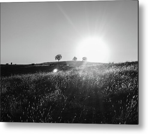 Landscape Metal Print featuring the photograph Sunset in Black and White by Hillis Creative