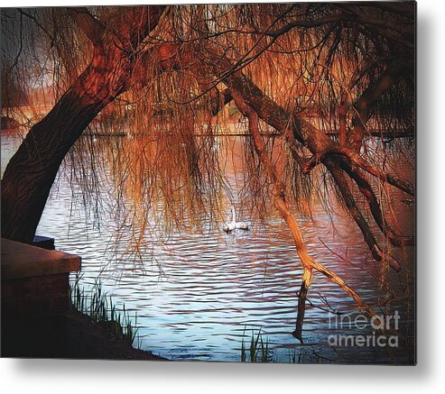 Tree Metal Print featuring the photograph Swans on the Avon by Sue Melvin
