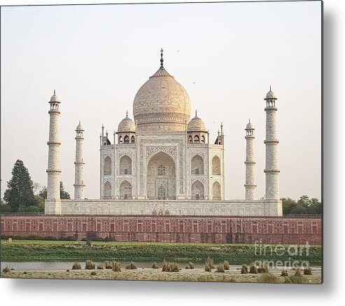 Mosque Metal Print featuring the photograph Taj Mahal View From Mehtab Bagh by Shahzad Siddiqui