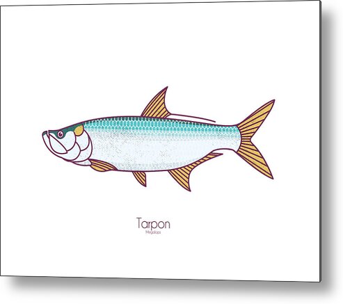 Tarpon Metal Print featuring the digital art Tarpon by Kevin Putman