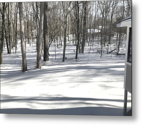 Winter Metal Print featuring the photograph The Calm After the Storm by Lisa Pearlman