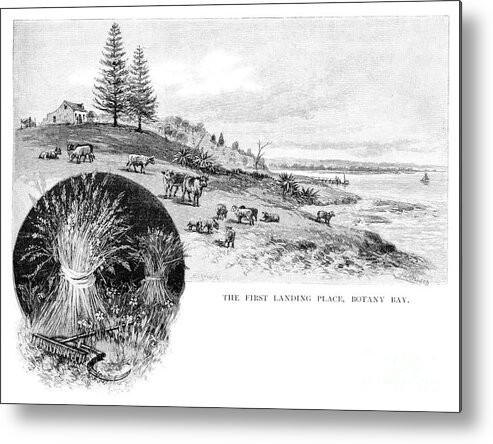 Engraving Metal Print featuring the drawing The First Landing Place, Botany Bay by Print Collector