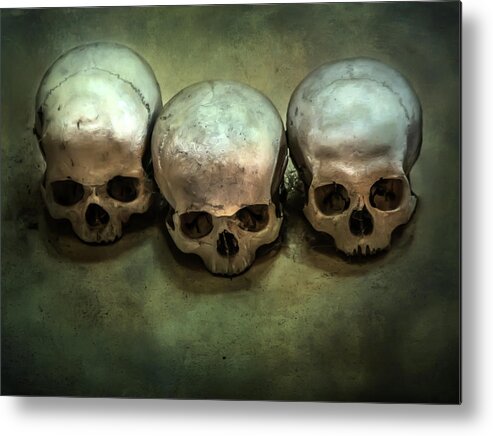 Bone Metal Print featuring the photograph Three human skulls by Jaroslaw Blaminsky