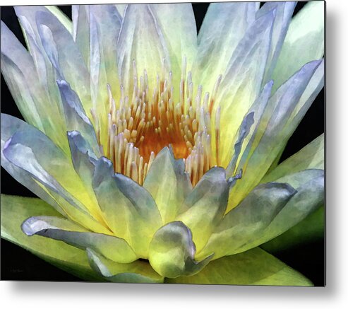 Impressionist Metal Print featuring the photograph Touch of Lemon 4504 IDP_2 by Steven Ward