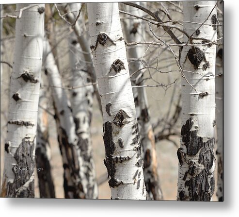 Trees Metal Print featuring the photograph Tree Eyes by Kae Cheatham