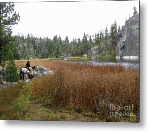 Landscape Metal Print featuring the photograph Tule Lake by Diane Bohna
