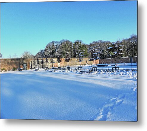 Walled Garden Metal Print featuring the photograph Walled Garden in The Snow by Lachlan Main
