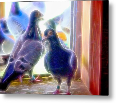 Pigeon Metal Print featuring the photograph Watchful Homing Pigeons Fibers by Don Northup