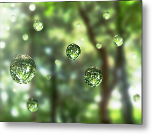 Tranquility Metal Print featuring the photograph Water Drops In The Forest by Hiroshi Watanabe