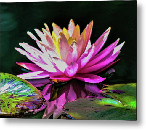 Water Lily Abstract Metal Print featuring the digital art Water Lily Abstract by Mary Ann Artz