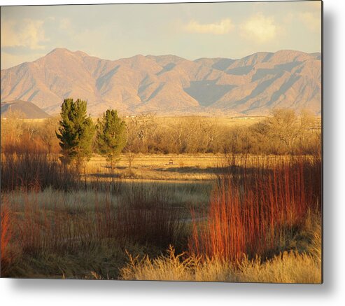 Scenics Metal Print featuring the photograph Waterfowl Complex In New Mexico by Duckycards