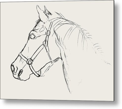 Art Metal Print featuring the drawing Yearling White by JAMART Photography