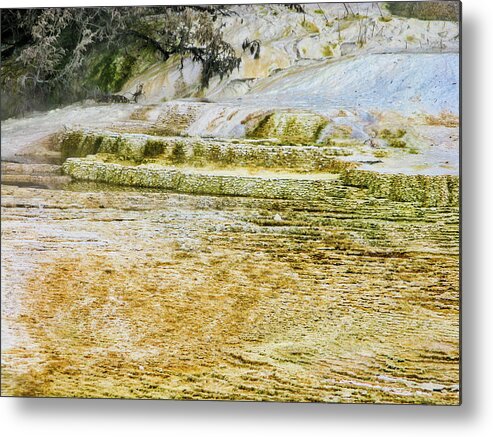 National Parks And Monuments Metal Print featuring the photograph Yellowstone 4 by Segura Shaw Photography