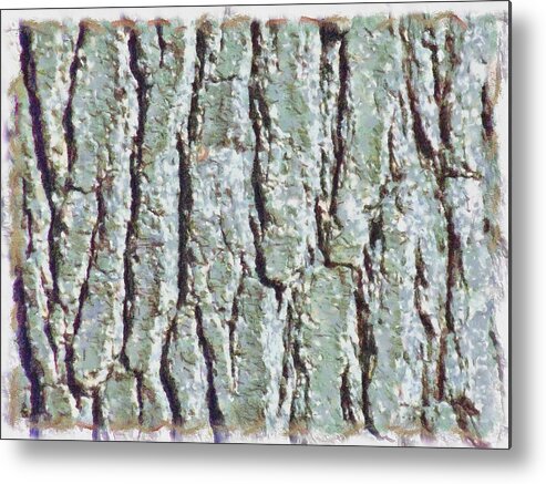 Bark Metal Print featuring the mixed media Bark Texture #1 by Christopher Reed