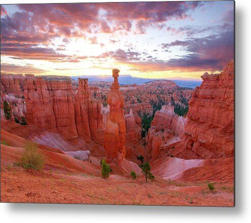 Utah Metal Print featuring the photograph Bryce Canyon Sunrise #1 by Aaron Spong