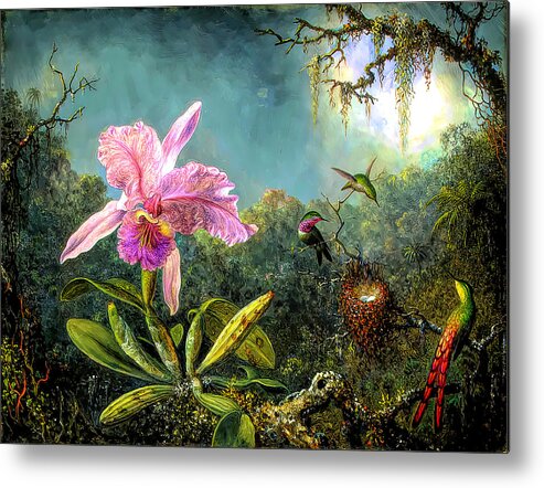 Cattleya Orchid And Three Brazilian Hummingbirds Metal Print featuring the painting Cattleya Orchid and Three Brazilian Hummingbirds by Martin Johnson Heade