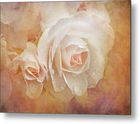 Rose Metal Print featuring the photograph Dreaming of Peach Roses by Jennie Marie Schell