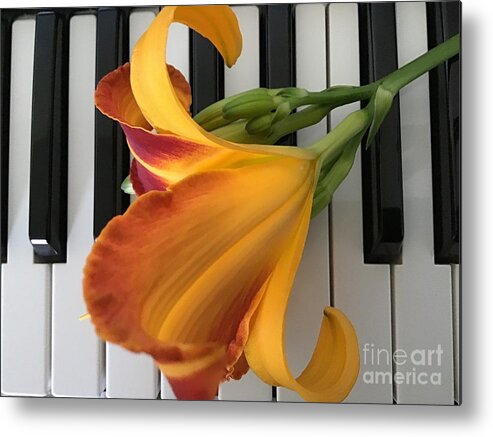 Lily Metal Print featuring the photograph Lily on Keyboard #2 by Catherine Wilson
