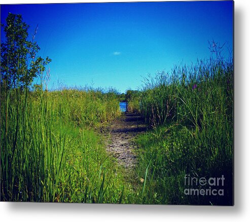 Wetlands Metal Print featuring the photograph Pathway to Prairie Lake by Frank J Casella