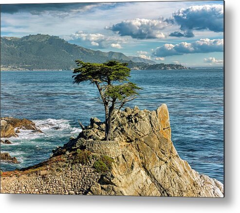 Landscape Metal Print featuring the photograph The Lone Cypress Tree #1 by Mountain Dreams