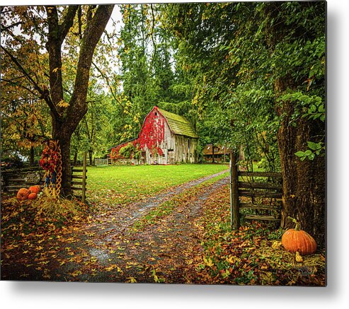 Landscapes Metal Print featuring the photograph Tis The Season #1 by Claude Dalley
