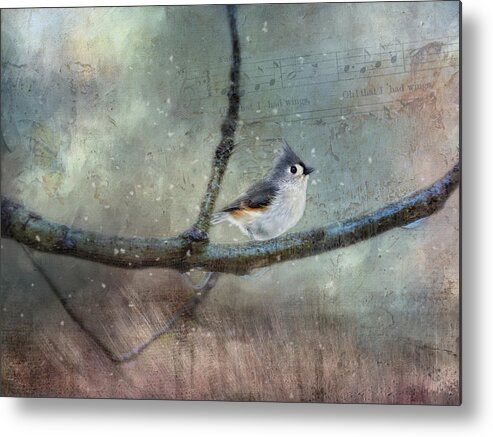 Photography Metal Print featuring the digital art Winter Bird Song by Terry Davis