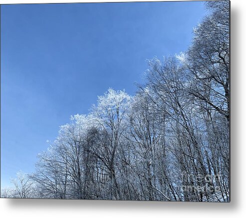 Metal Print featuring the photograph Winter wonderland by Annamaria Frost