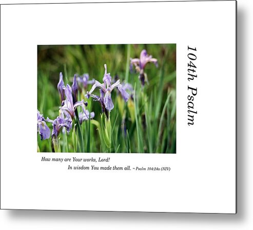 Richard E. Porter Metal Print featuring the photograph 104th Psalm-Colorado Flowers by Richard Porter