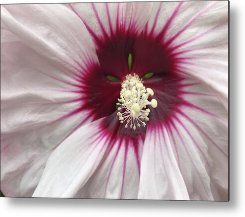 Flowers Metal Print featuring the photograph 3D shot by Jean Wolfrum