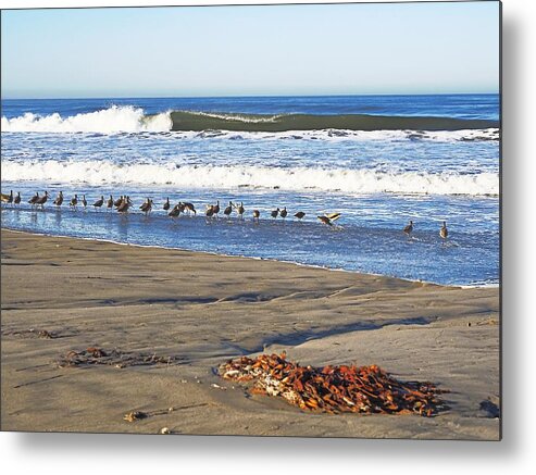 Seascape Metal Print featuring the photograph Pajaro Dunes Beach #4 by Richard Thomas