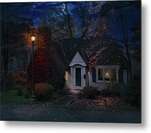Home Metal Print featuring the photograph A house by a street lamp by Aleksander Rotner