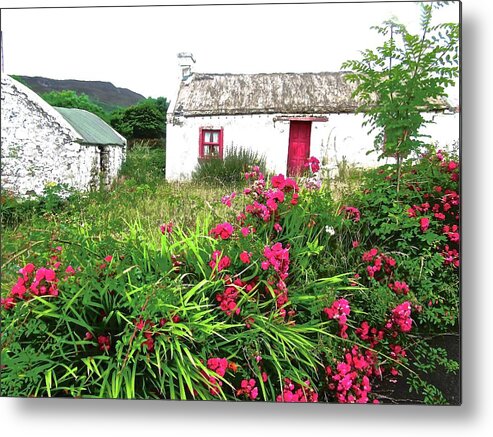 Cottage Metal Print featuring the photograph Abandoned Irish cottage by Stephanie Moore