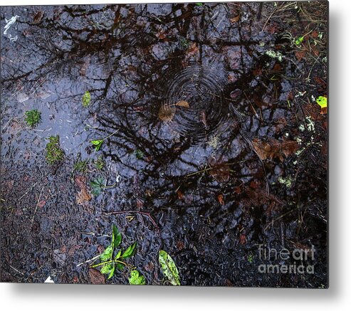 Abstract Art Metal Print featuring the photograph Abstract of Nature by Chriss Pagani
