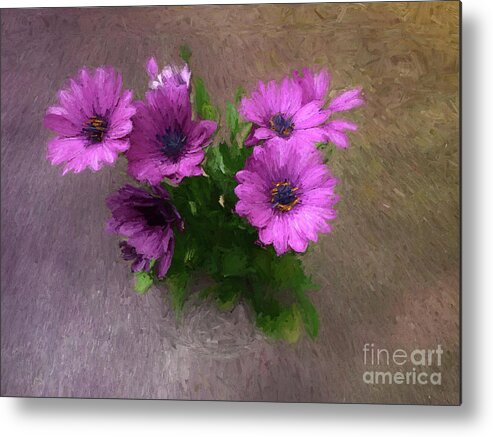 African Daisy Metal Print featuring the photograph African Daisies - Osteospermum by Yvonne Johnstone