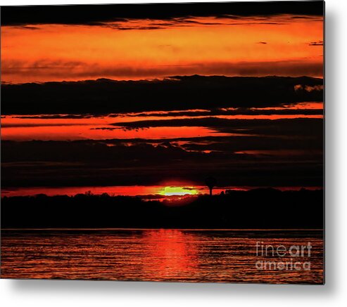 Digital Photography Metal Print featuring the photograph All A Glow by Eunice Miller