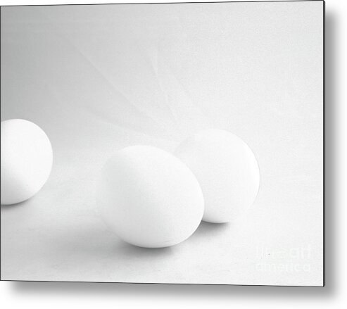 Eggs Metal Print featuring the photograph Almost a Trio by Kae Cheatham