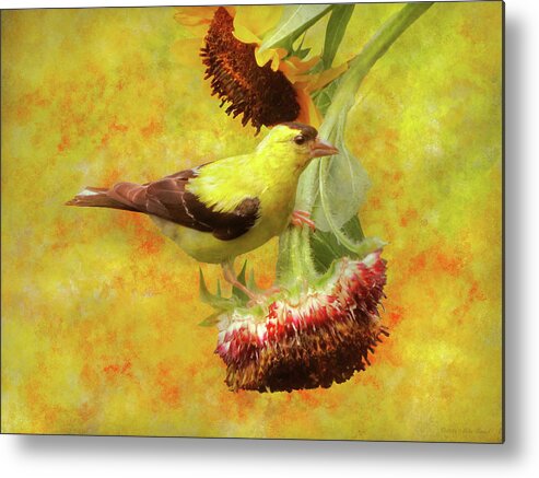 Bird Metal Print featuring the photograph Animal - Bird - For the birds by Mike Savad