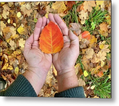 Hands Metal Print featuring the photograph Autumn Blaze by Suzan Sommers