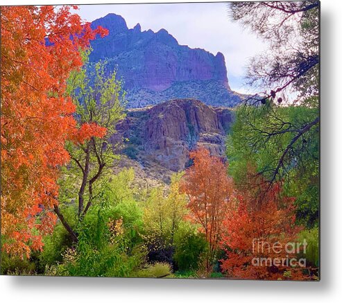 Autumn In Superior Arizona Metal Print featuring the digital art Autumn in Superior Arizona by Tammy Keyes