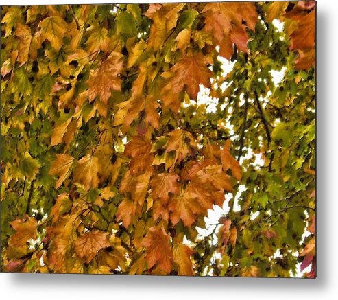 Autumn Metal Print featuring the mixed media Autumn Leaves by Christopher Reed
